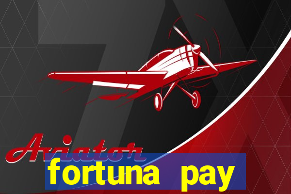 fortuna pay consultoria financeira ltda